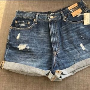 High Rise Curvy Mom Shorts- 3.25"